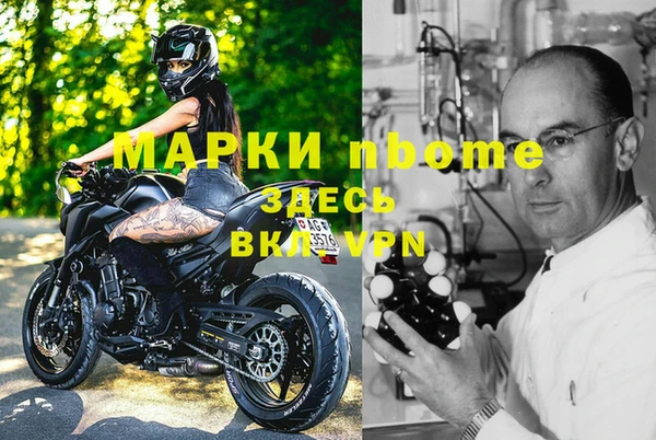 индика Армянск